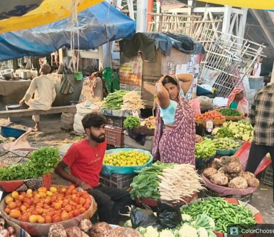 सन्हौली दुर्गा स्थान के पास रेलवे की आवंटित जमीन पर अब भी अतिक्रमण: संवेदक मनोहर कुमार कुशवाहा को हो रहा भारी नुकसान