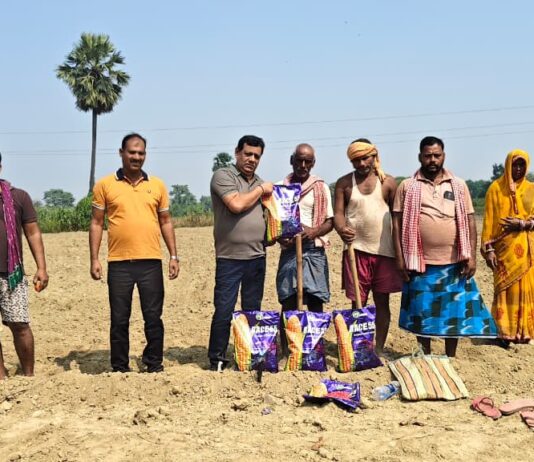 रेस 55 मक्के के बीज के गुणवत्ता से किसानों में खुशहाली,,विधि पूर्वक पूजा कर किए बुआई*